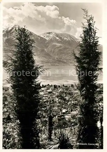 AK / Ansichtskarte Minusio_Locarno_TI Panorama Ausblick von Pension zur Muehle Lago Maggiore Alpen Minusio_Locarno_TI