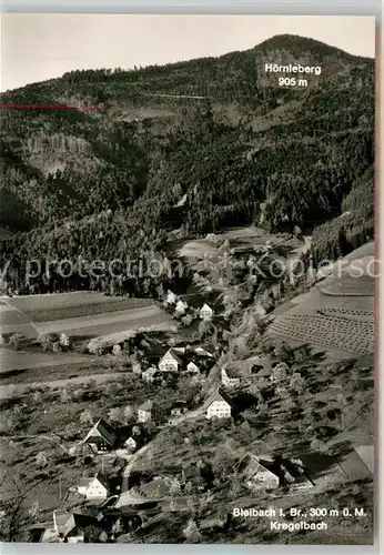 AK / Ansichtskarte Bleibach Kregelbach Hoernleberg Bleibach