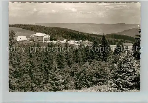 AK / Ansichtskarte Kandel_Breisgau Berggasthof Kandel Breisgau