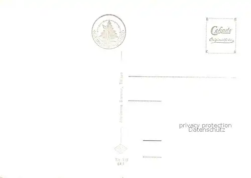 AK / Ansichtskarte Titisee Panoramakarte Schwarzwald Hotel Titisee Hotel Titisee