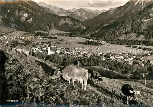 AK / Ansichtskarte Hindelang Kuehe  Hindelang