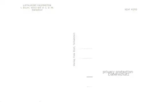 AK / Ansichtskarte Falkenstein_Oberpfalz Schlosshof  Falkenstein_Oberpfalz