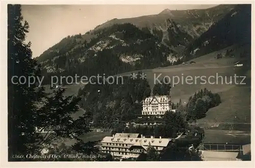 AK / Ansichtskarte Chateau d_Oex Grand Hotel et Hotel du Parc Chateau d Oex