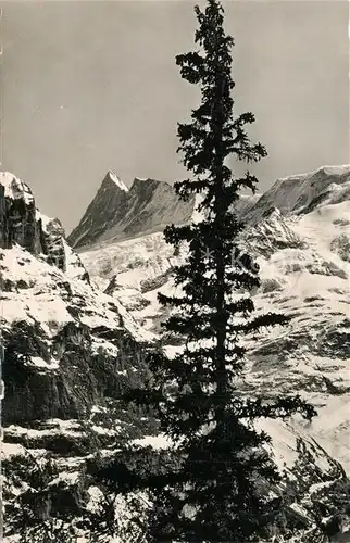 AK / Ansichtskarte Grindelwald Finsteraarhorn Grindelwald