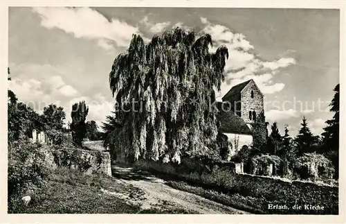 AK / Ansichtskarte Erlach_BE Kirche Erlach_BE