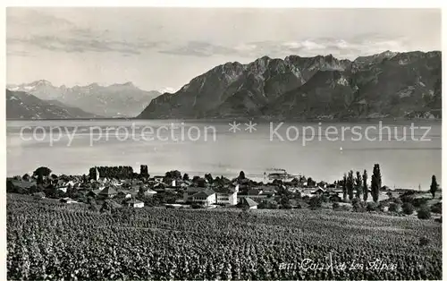 AK / Ansichtskarte Cully_VD et les Alpes Cully_VD