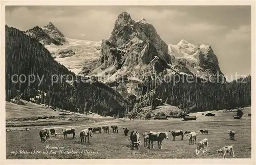 AK / Ansichtskarte Rosenlaui_BE mit Well und Wetterhorn Rosenlaui_BE