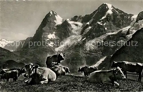AK / Ansichtskarte Grindelwald Eiger und Moench Berner Alpen Almvieh Kuehe Grindelwald