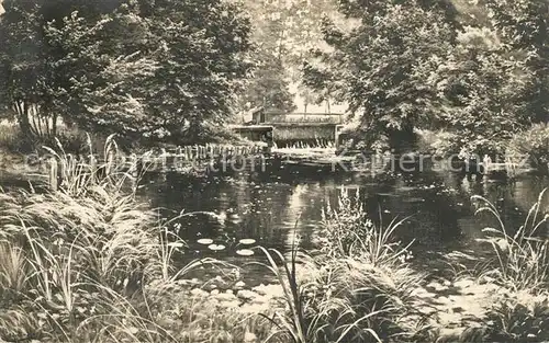 AK / Ansichtskarte Saint More Etang Parc Le Perthuis Salons de Paris Rene His Saint More