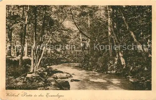 AK / Ansichtskarte Wildbad_Schwarzwald Partie in den Enzanlagen Wildbad_Schwarzwald