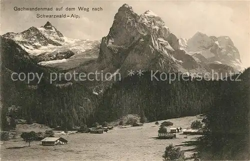 AK / Ansichtskarte Meiringen_BE Gschwandenmad auf dem Weg nach Schwarzwald Alp Meiringen BE
