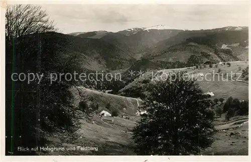 AK / Ansichtskarte Hofsgrund Schauinsland mit Feldbergblick Hofsgrund