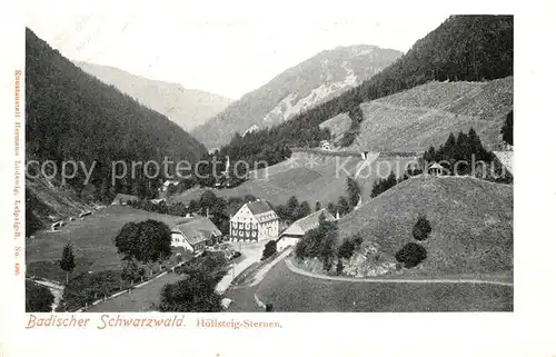 AK / Ansichtskarte Hoellsteig Hotel Hofgut Sternen Hoellsteig