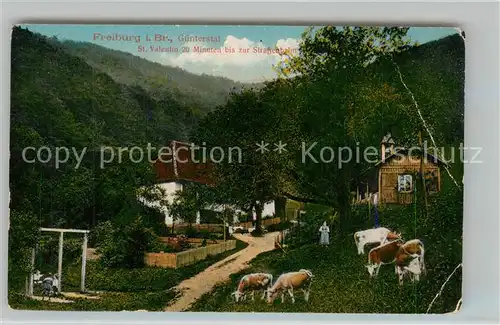 AK / Ansichtskarte Guenterstal_Freiburg St Valentin Hofgut Guenterstal_Freiburg