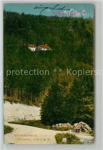 AK / Ansichtskarte Schauinsland Waldhotel Notschrei Schauinsland