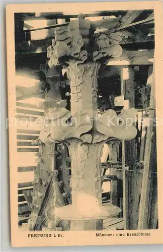 AK / Ansichtskarte Freiburg_Breisgau Kreuzblume am Muenster Freiburg Breisgau