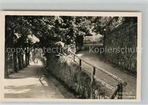 AK / Ansichtskarte Freiburg_Breisgau Partie am Schlossberg Freiburg Breisgau