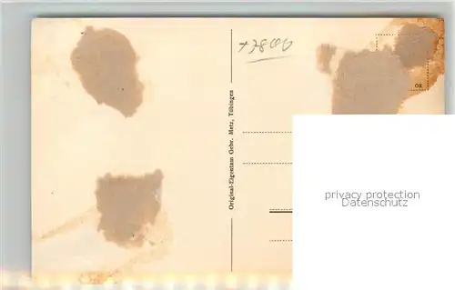 AK / Ansichtskarte Guenterstal_Freiburg Panorama Guenterstal_Freiburg