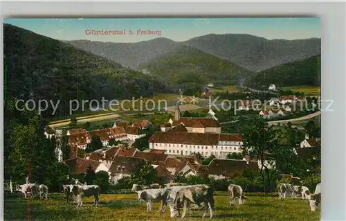AK / Ansichtskarte Guenterstal_Freiburg Altes Kloster Guenterstal_Freiburg