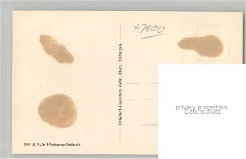 AK / Ansichtskarte Guenterstal_Freiburg Villenviertel Guenterstal_Freiburg