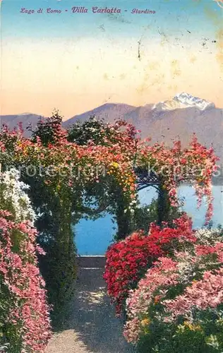 AK / Ansichtskarte Tremezzo_Lago_di_Como Villa Carlotta Giardino Tremezzo_Lago_di_Como