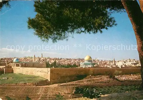 AK / Ansichtskarte Jerusalem_Yerushalayim Temple Area Eastern Wall seen from Mount of Olives Jerusalem_Yerushalayim