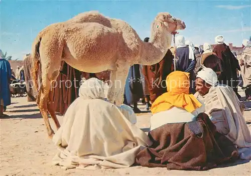 AK / Ansichtskarte Tunesien Kamelmarkt im Sueden des Landes Tunesien