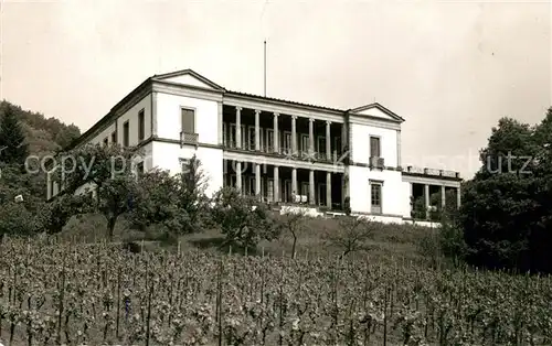 AK / Ansichtskarte Edenkoben Schloss Edenkoben