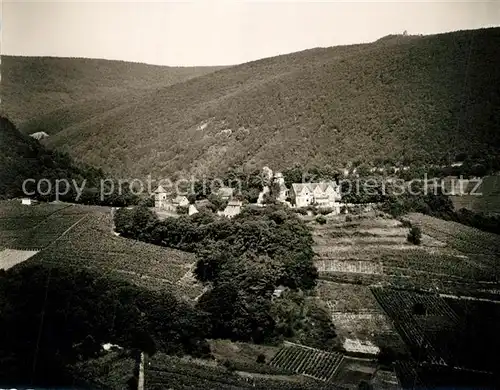 AK / Ansichtskarte Edenkoben Fliegeraufnahme mit Rietburg Edenkoben