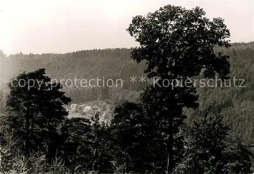 AK / Ansichtskarte Schwarzbach_Johanniskreuz Gasthaus Waldesruhe Schwarzbach Johanniskreuz