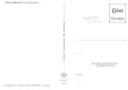 AK / Ansichtskarte Lambrecht Fliegeraufnahme Lambrecht