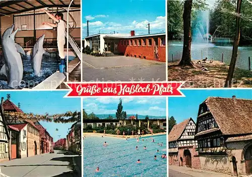 AK / Ansichtskarte Hassloch_Pfalz Delphinarium Bahnhof Vogelpark Langgasse Freibad Alte Haeuser Hassloch Pfalz