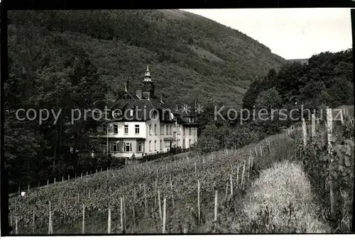 AK / Ansichtskarte Edenkoben Kneippkurheim Edenkoben