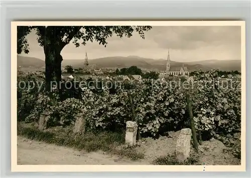 AK / Ansichtskarte Edenkoben Panorama Edenkoben