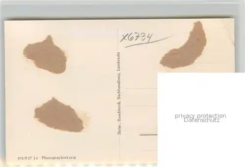 AK / Ansichtskarte Lambrecht Panorama Lambrecht