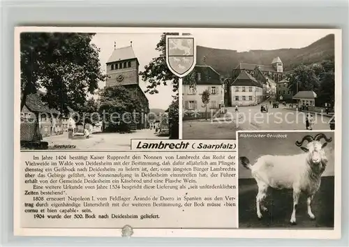 AK / Ansichtskarte Lambrecht Kirchplatz Historischer Geissbock Lambrecht