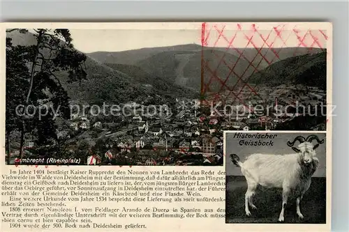 AK / Ansichtskarte Lambrecht Panorama Historischer Geissbock Lambrecht