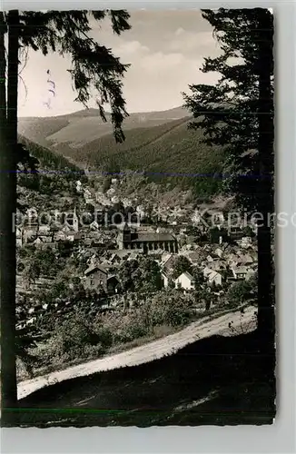 AK / Ansichtskarte Lambrecht Blick ins Luhrbachtal Lambrecht