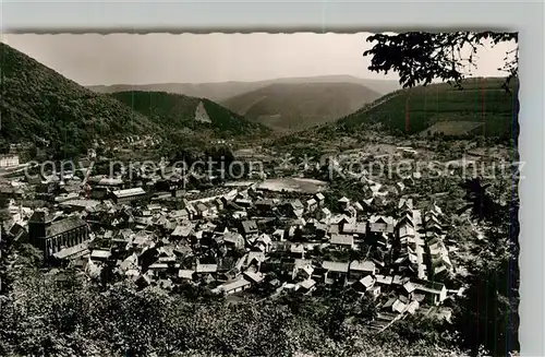 AK / Ansichtskarte Lambrecht Panorama Lambrecht