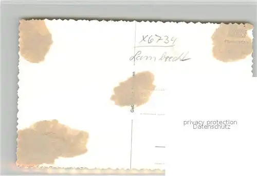 AK / Ansichtskarte Lambrecht Kinderspielplatz Lambrecht