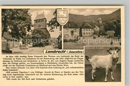 AK / Ansichtskarte Lambrecht Kirchplatz Historischer Geissbock Lambrecht