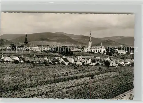AK / Ansichtskarte Edenkoben Panorama mit Kirchen Edenkoben