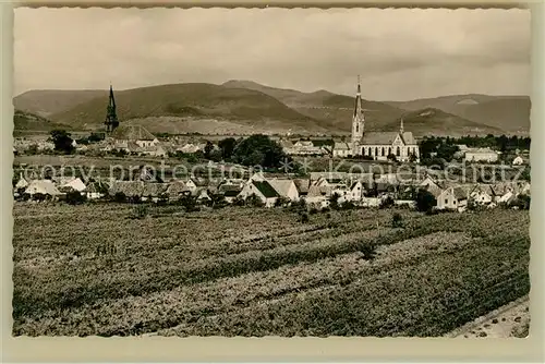AK / Ansichtskarte Edenkoben Panorama mit Kirchen Edenkoben