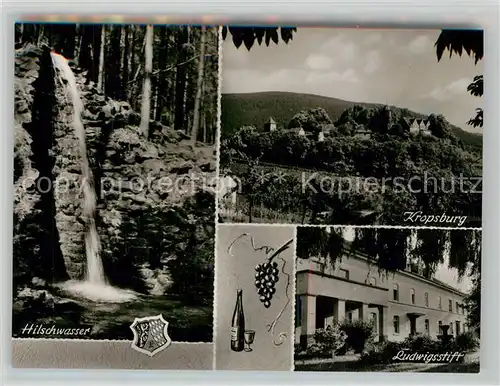 AK / Ansichtskarte Edenkoben Hilschwasserfall Kropsburg Ludwigsstift Edenkoben