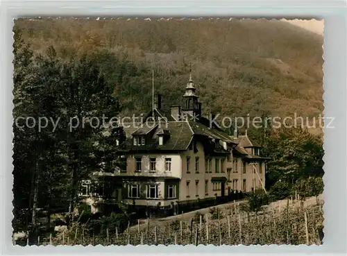 AK / Ansichtskarte Edenkoben Gasthaus Edenkoben