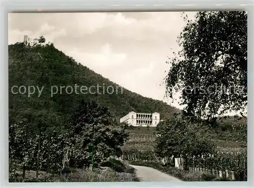 AK / Ansichtskarte Edenkoben Villa Ludwigshoehe mit Rietburg Edenkoben