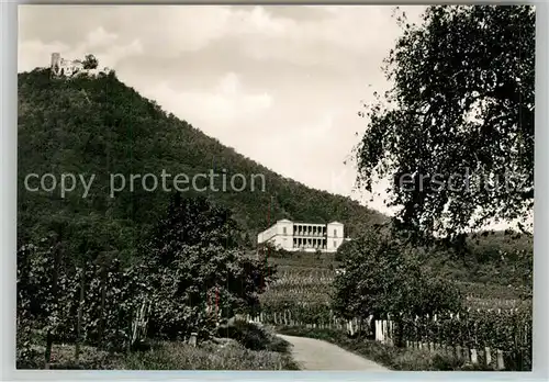 AK / Ansichtskarte Edenkoben Villa Ludwigsburg mit Rietburg Edenkoben