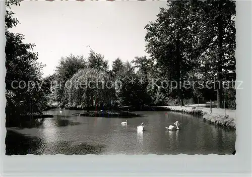 AK / Ansichtskarte Hassloch_Pfalz Naturschutzpark Schwanenteich Hassloch Pfalz