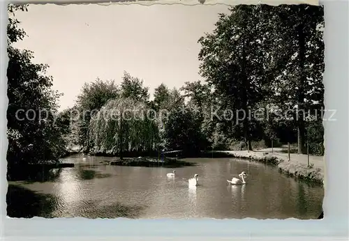 AK / Ansichtskarte Hassloch_Pfalz Naturschutzpark Schwanenteich Hassloch Pfalz