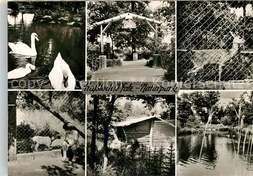 AK / Ansichtskarte Hassloch_Pfalz Naturpark Details Hassloch Pfalz